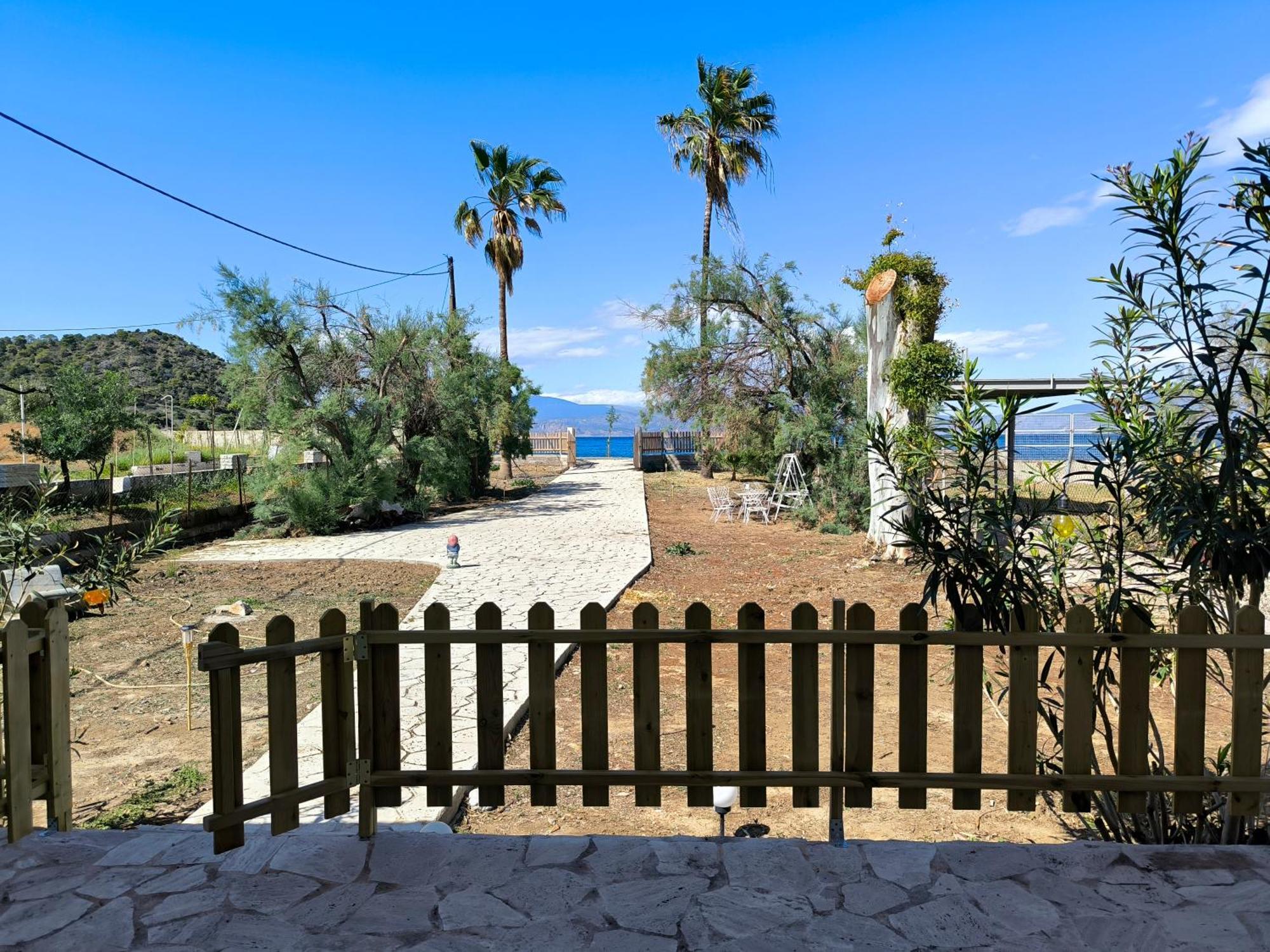 Palm Tree House By The Beach Skhoínos Exterior foto